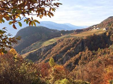 Paesaggio autunnale di montagna con vigneti, boschi colorati e case sparse alla luce calda.